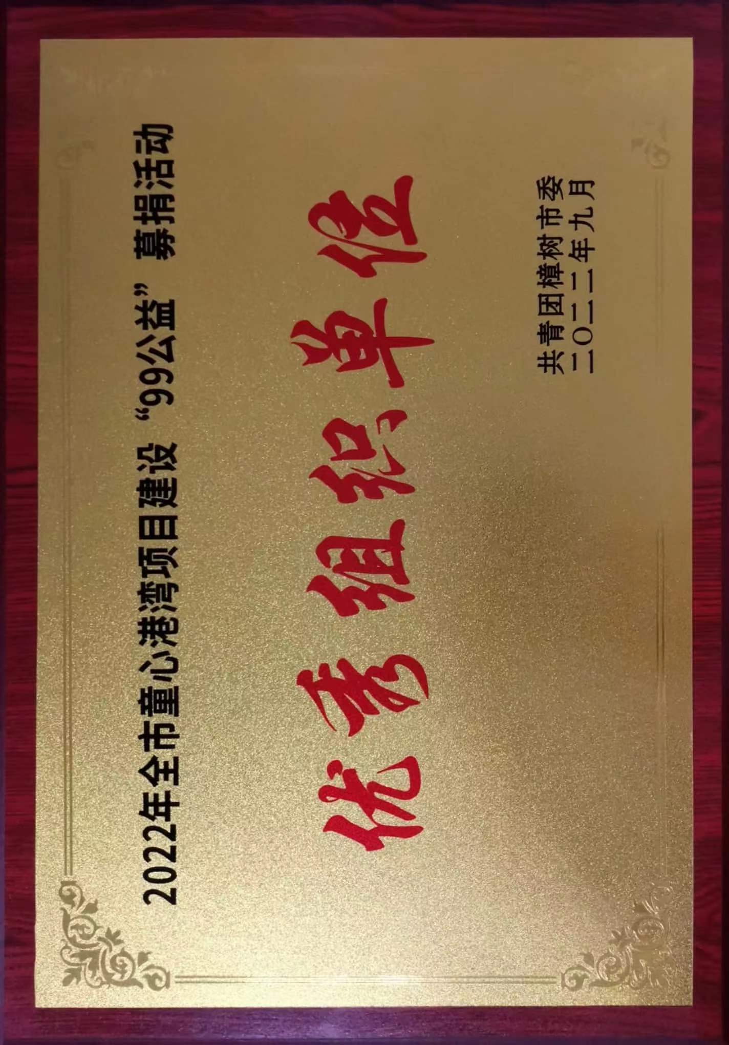 2022年全市童心港彎項目建設(shè)“99公益”募捐活動 優(yōu)秀組織單位